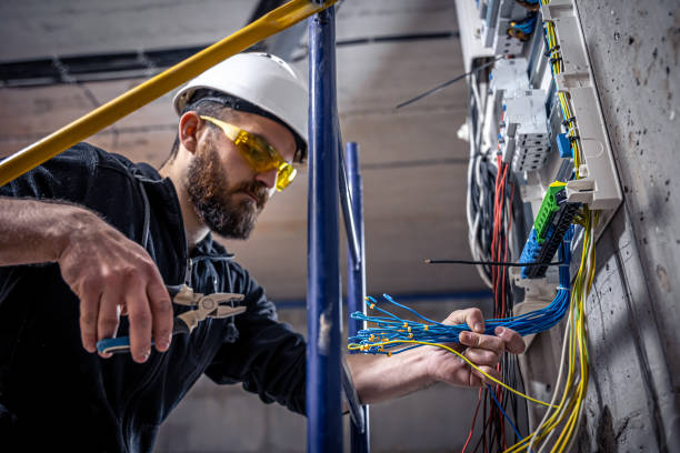 Best Home Electrical Repair  in Forest Heights, TX